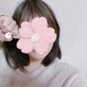 ヒメ日記 2026/04/10 15:04 投稿 うい みつらん鉄道