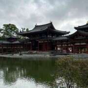 ヒメ日記 2025/06/12 11:43 投稿 ほたる 川越ぷよステーション