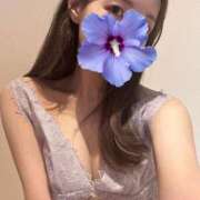 ヒメ日記 2025/12/16 12:50 投稿 あん ごほうびSPA五反田店