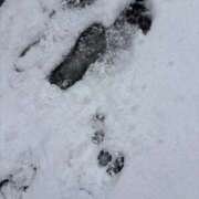 ヒメ日記 2026/02/09 10:40 投稿 あん ごほうびSPA五反田店