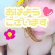 ヒメ日記 2025/06/16 07:06 投稿 きい ぽちゃLOVE(サンライズグループ)