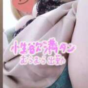 ヒメ日記 2025/06/21 10:36 投稿 きい ぽちゃLOVE(サンライズグループ)