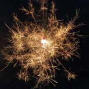 ヒメ日記 2025/06/28 23:37 投稿 きい ぽちゃLOVE(サンライズグループ)