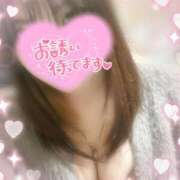 ヒメ日記 2026/04/13 12:33 投稿 のあ ぽちゃLOVE(サンライズグループ)