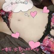 ヒメ日記 2025/06/22 16:38 投稿 弥生(ヤヨイ)【麗しき女神様】 美魔女コレクション別府店