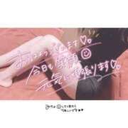 ヒメ日記 2025/11/13 09:14 投稿 弥生(ヤヨイ)【麗しき女神様】 美魔女コレクション別府店