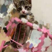 ヒメ日記 2026/03/15 09:17 投稿 くいな ぷるるん小町 京橋店