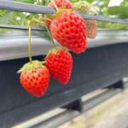 くいな 8日はおやすみです🥲 ぷるるん小町 京橋店