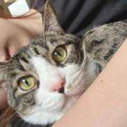 くいな 明日雨…☔️ ぷるるん小町 京橋店