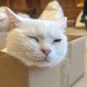 ヒメ日記 2025/10/25 16:30 投稿 もえち Evolution 2nd