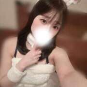 ヒメ日記 2026/02/09 22:25 投稿 こはる 恋するバニー