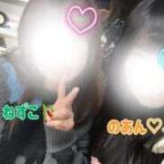 ヒメ日記 2026/02/01 19:55 投稿 ねずこ 密着指導！バカンス学園 尼崎校