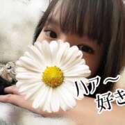 ヒメ日記 2025/08/23 10:02 投稿 き　き ママれもん 日暮里店