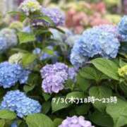 ヒメ日記 2025/07/03 00:23 投稿 鈴木 さら ハレ系 放課後クラブ