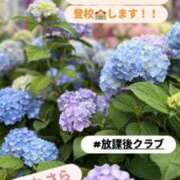 ヒメ日記 2025/07/26 14:35 投稿 鈴木 さら ハレ系 放課後クラブ