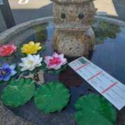 ヒメ日記 2025/07/21 14:35 投稿 藤谷(ふじたに) 人妻最後の砦 小山店