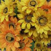 ヒメ日記 2026/01/23 15:08 投稿 一色（ひいろ） 人妻最後の砦 神栖店