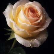 ヒメ日記 2026/02/01 19:24 投稿 一色（ひいろ） 人妻最後の砦 神栖店