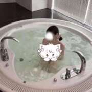 ヒメ日記 2025/11/14 23:36 投稿 まいか ワンダーホール24in幕張