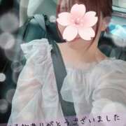 ヒメ日記 2025/06/11 14:48 投稿 みなと マダム可憐