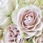 ヒメ日記 2026/02/25 10:50 投稿 みなと マダム可憐