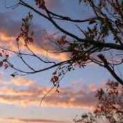 ヒメ日記 2026/10/28 09:34 投稿 みなと マダム可憐