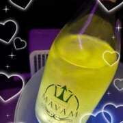 ヒメ日記 2025/09/19 15:03 投稿 せな X-PARTY