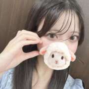 ヒメ日記 2025/06/20 03:44 投稿 白瀬まい HYPER TOKYO