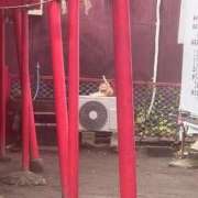 ヒメ日記 2025/09/04 17:12 投稿 うるみ 萌えカワ