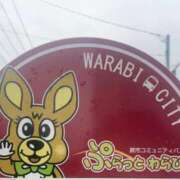 ヒメ日記 2025/09/13 10:22 投稿 うるみ 萌えカワ