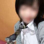 ヒメ日記 2025/09/29 08:22 投稿 うるみ 萌えカワ