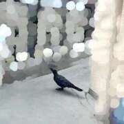 ヒメ日記 2025/10/04 20:08 投稿 うるみ 萌えカワ