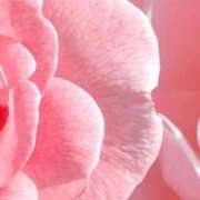 ヒメ日記 2025/11/21 23:24 投稿 うるみ 萌えカワ