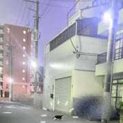 ヒメ日記 2025/12/24 15:16 投稿 うるみ 萌えカワ