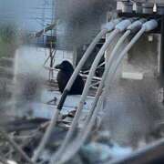 ヒメ日記 2026/03/28 16:17 投稿 うるみ 萌えカワ