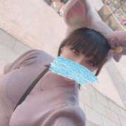 ヒメ日記 2025/06/09 10:08 投稿 きせき Gossip girl成田店