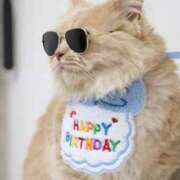 ヒメ日記 2025/06/09 10:21 投稿 あおい ドマーニ