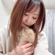 ヒメ日記 2025/06/12 10:44 投稿 あおい ドマーニ