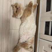 ヒメ日記 2025/06/12 15:29 投稿 あおい ドマーニ