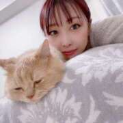 ヒメ日記 2025/06/14 03:02 投稿 あおい ドマーニ