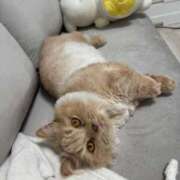 ヒメ日記 2025/06/15 13:57 投稿 あおい ドマーニ