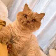 ヒメ日記 2025/07/26 17:59 投稿 あおい ドマーニ