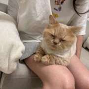 ヒメ日記 2025/07/29 03:00 投稿 あおい ドマーニ