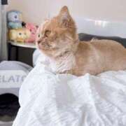 ヒメ日記 2025/08/05 19:08 投稿 あおい ドマーニ