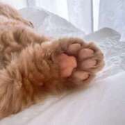 ヒメ日記 2025/08/23 17:50 投稿 あおい ドマーニ