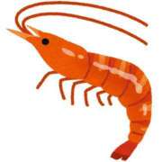 ヒメ日記 2025/08/31 02:44 投稿 あおい ドマーニ