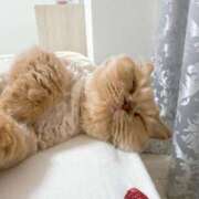 ヒメ日記 2025/10/16 20:09 投稿 あおい ドマーニ