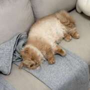 ヒメ日記 2025/12/07 21:11 投稿 あおい ドマーニ