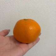 ヒメ日記 2025/12/09 13:12 投稿 あおい ドマーニ