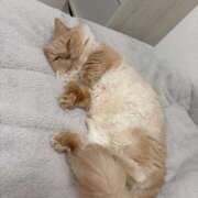 ヒメ日記 2025/12/17 11:22 投稿 あおい ドマーニ